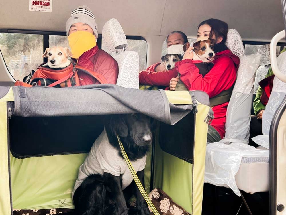 ドッグタクシーに実際に犬と一緒に乗車している写真